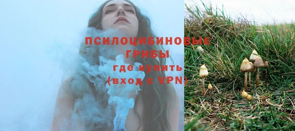 дурь Алзамай