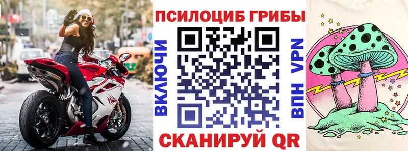 Псилоцибиновые грибы мицелий  Игра 